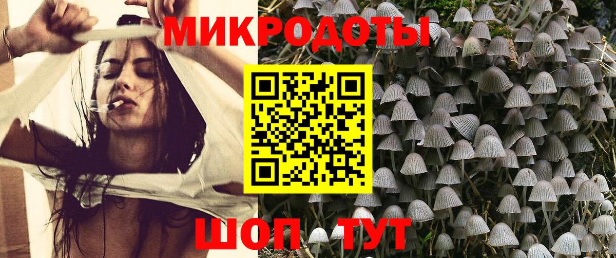Нальчик  Псилоцибиновые грибы Psilocybe  Вход с VPN  Псилоцибиновые грибы ЛСД 